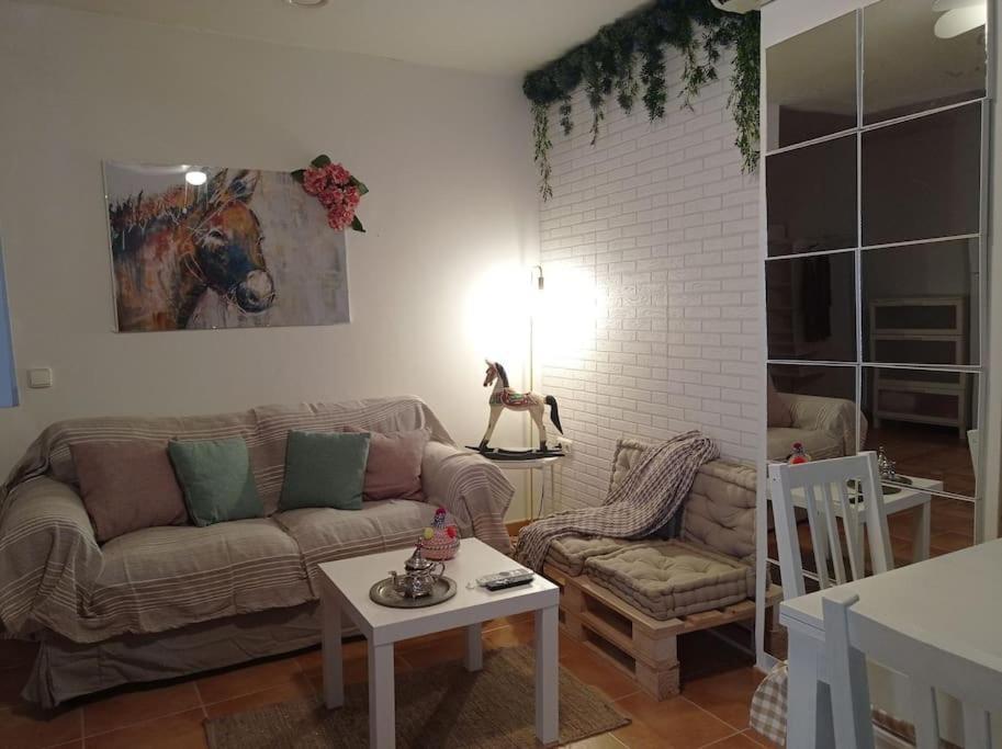 Precioso Loft En El Centro De Cordoba. Daire Dış mekan fotoğraf