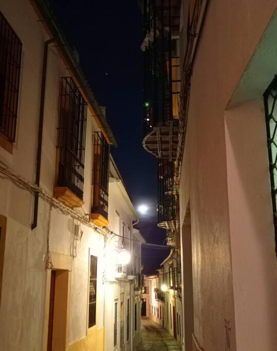 Precioso Loft En El Centro De Cordoba. Daire Dış mekan fotoğraf