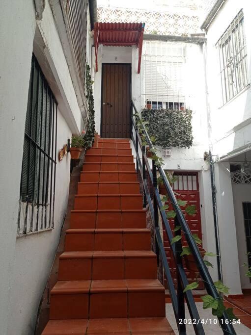 Precioso Loft En El Centro De Cordoba. Daire Dış mekan fotoğraf
